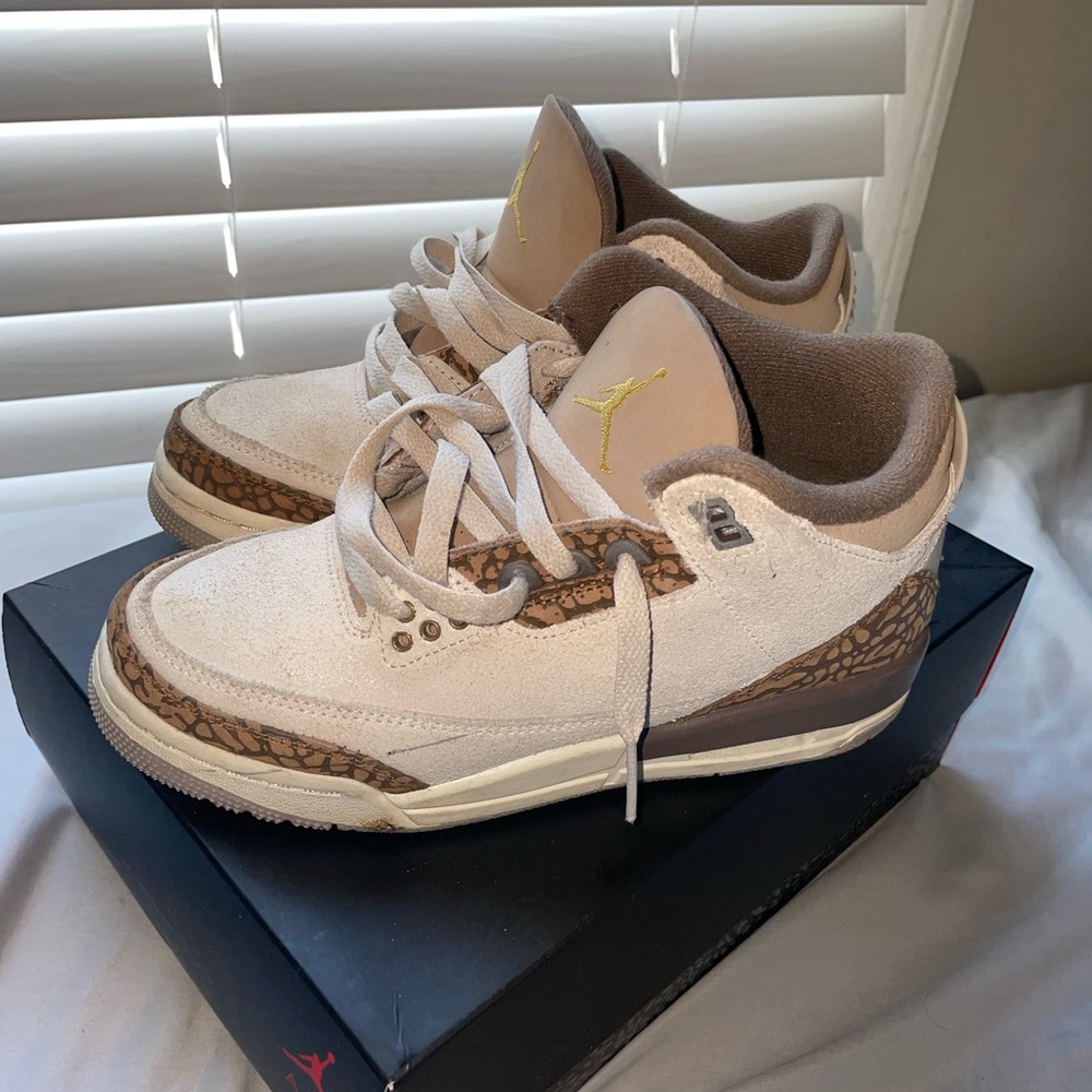 Jordan retro 3s